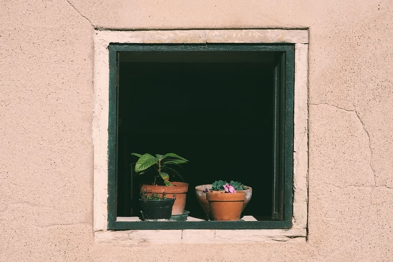 Investment Insights